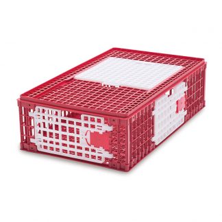 Cajas plasticas - Maples y estuches